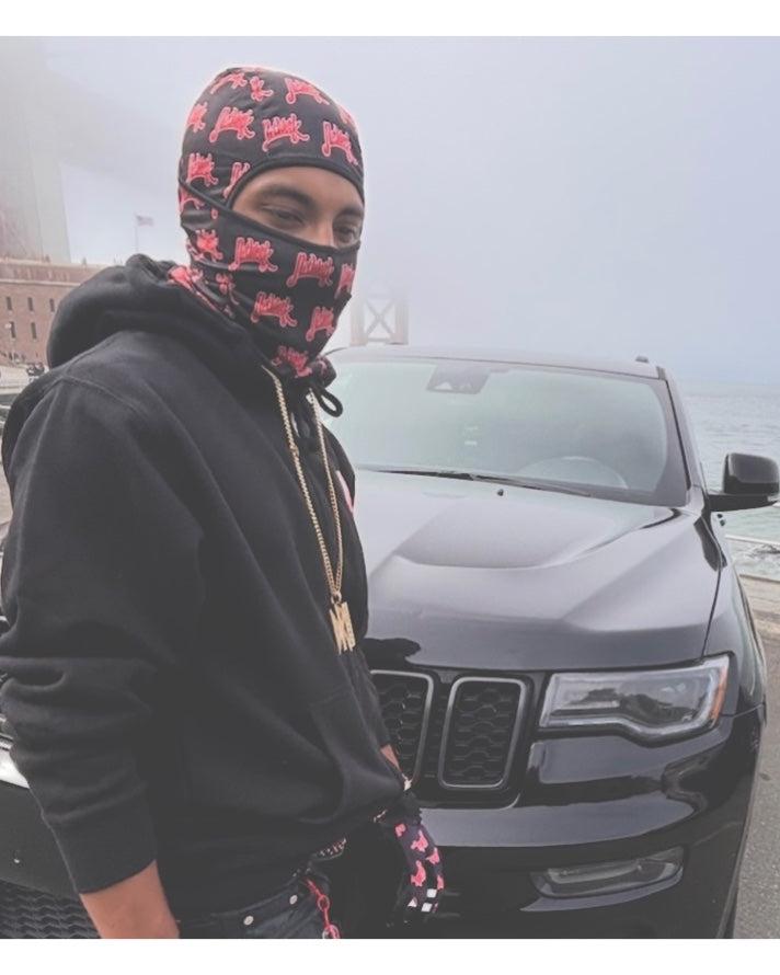 Network Ski Mask