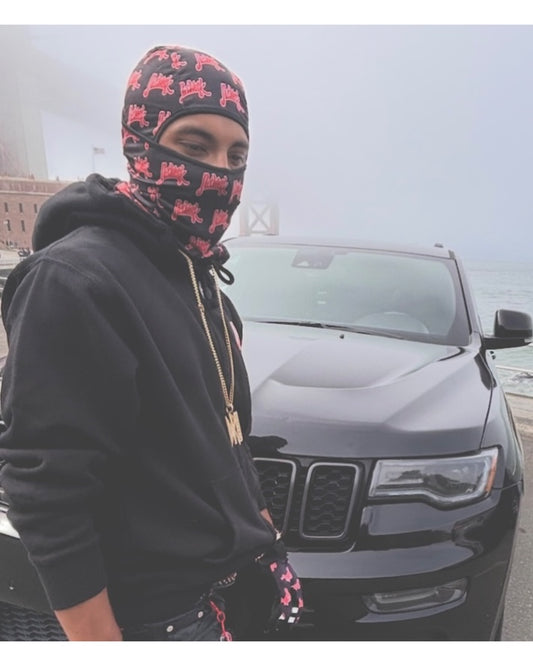 Network Ski Mask